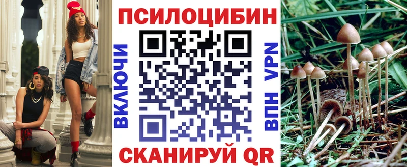 Псилоцибиновые грибы Psilocybine cubensis  Купить  Магас 